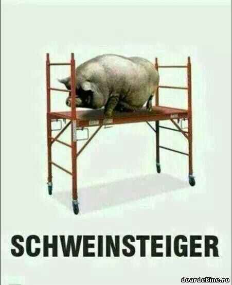 Ce înseamnă SCHWEINSTEIGER poze haioase