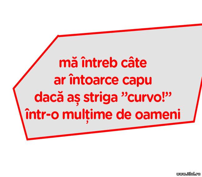 Oare câte s-ar întoarce? poze haioase