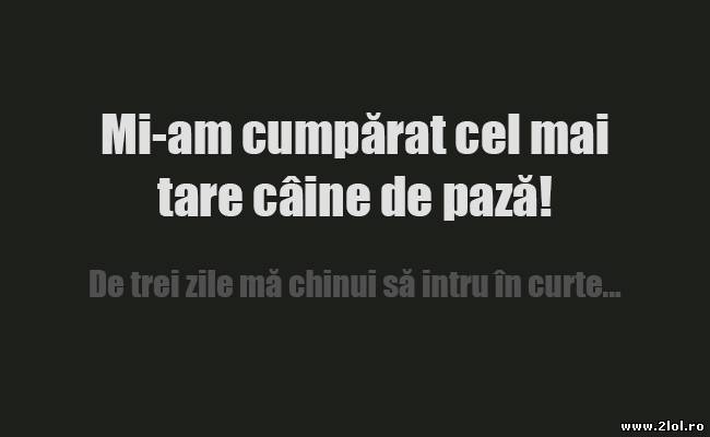După ce îţi iei cel mai tare câine de pază poze haioase