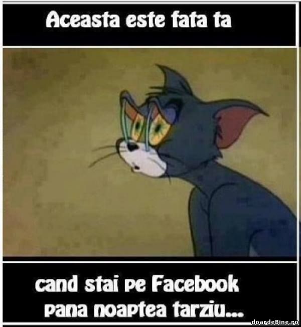 Când stai pe facebook până noaptea târziu poze haioase