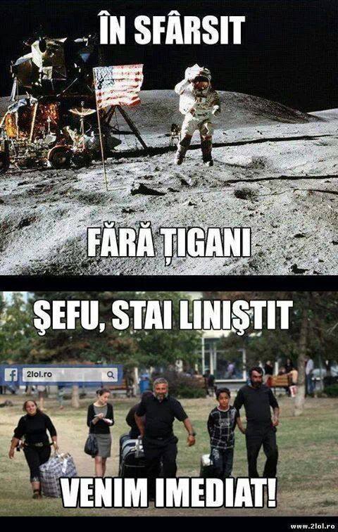In sfarsit fara tigani poze haioase