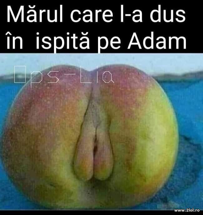 Marul care l-a adus in ispita pe Adam poze haioase