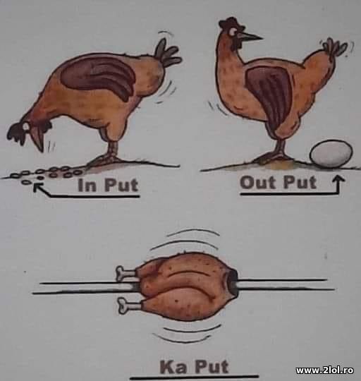 In put Out put Ka put poze haioase