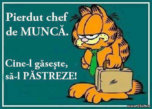 Cine-l găsește, să-l păstreze poze haioase