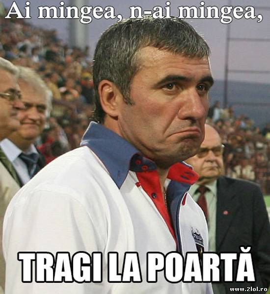 Ai mingea, n-ai mingea, TRAGI LA POARTĂ! poze haioase