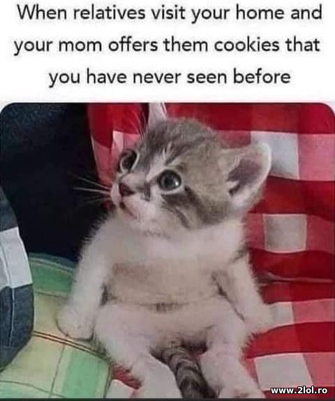 When relatives visit your home and your mom poze haioase