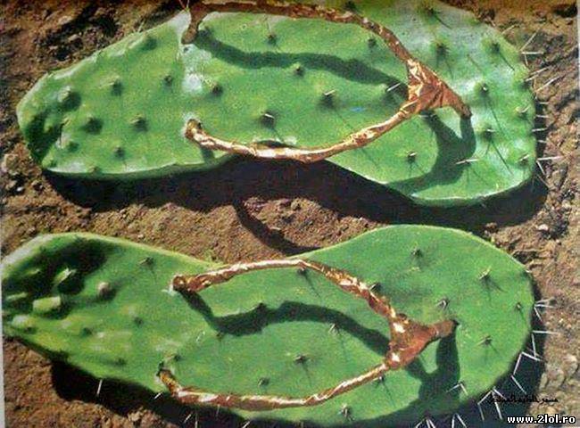 Șlarfi cu cauciucuri de iarnă poze haioase