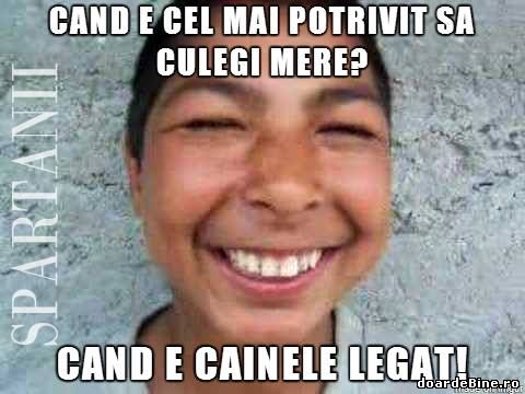 Când e cel mai potrivit să culegi mere? poze haioase