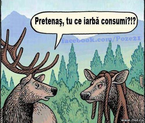 Pretenaș, tu ce iarbă consumi? poze haioase