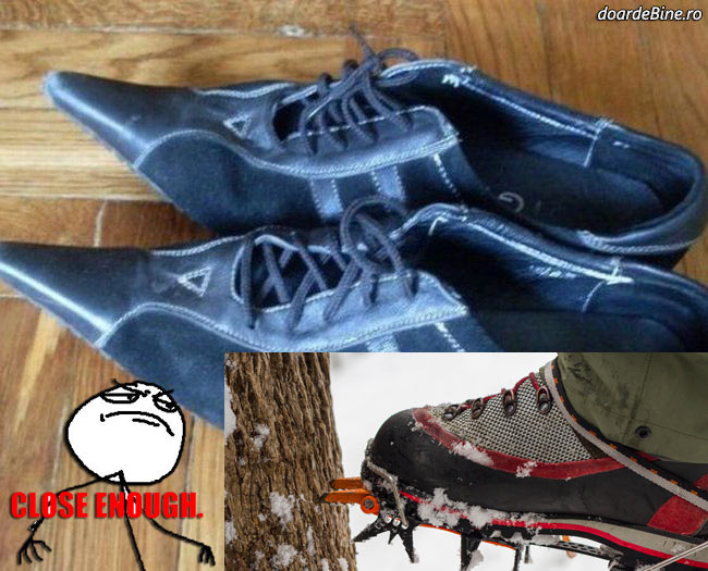 Nu ştii niciodată când trebuie să te urci undeva poze haioase