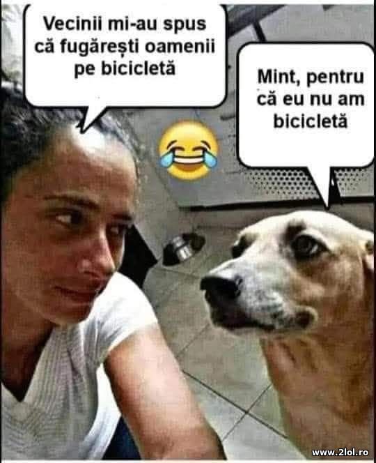 Veciniii mi-au spus ca fugaresti oamenii poze haioase