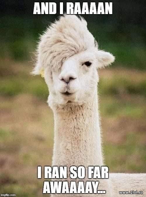 And I ran. I ran so far away poze haioase