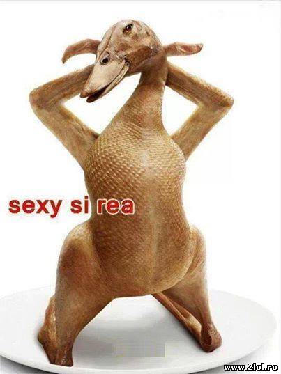 Sunt ele, fetele rele! poze haioase