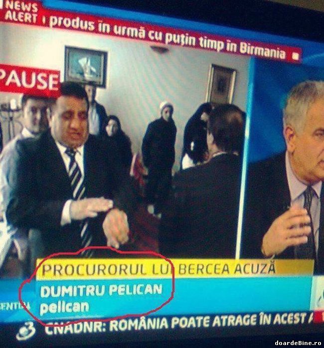 Domnul Dumitru Pelican, de profesie pelican poze haioase