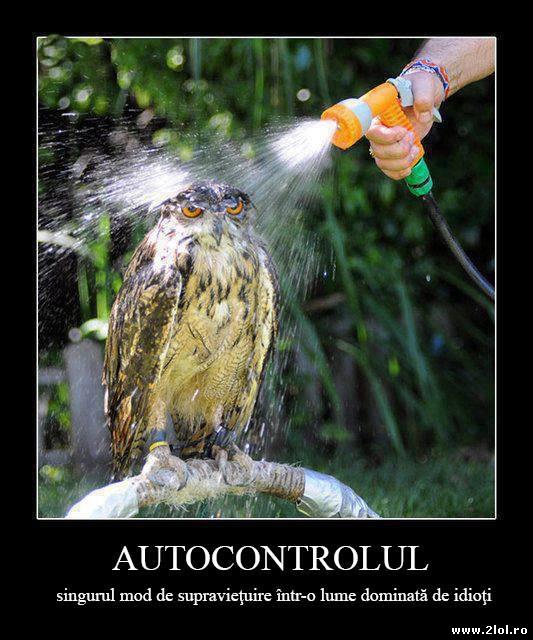 De asta nu vorbesc animalele cu noi poze haioase