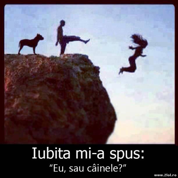 Nu pune un bărbat să aleagă între tine și câine poze haioase