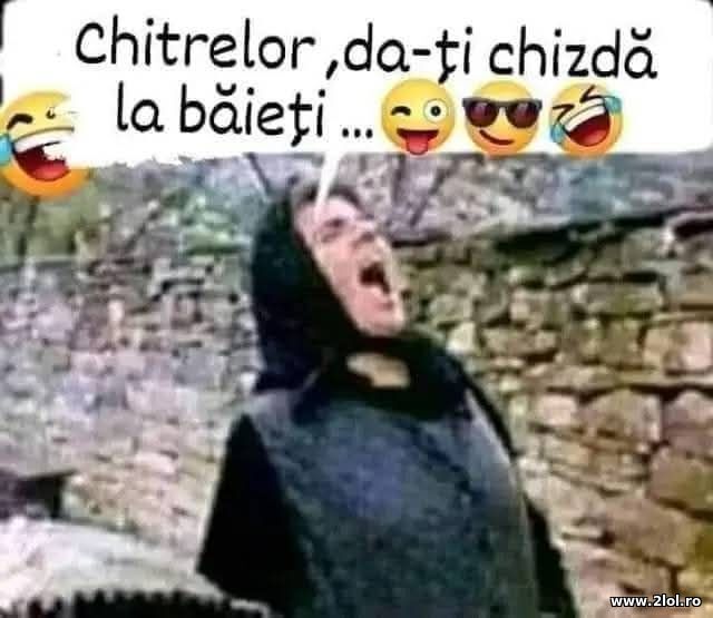 Chitrelor, dati-o poze haioase