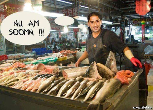 Connect-R n-are somn, la propriu poze haioase