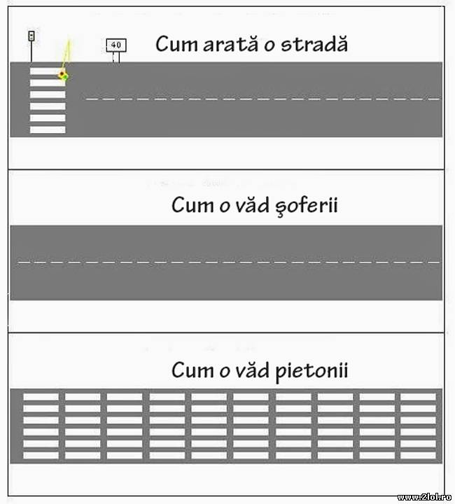 Cum văd şoferii şi pietonii străzile poze haioase