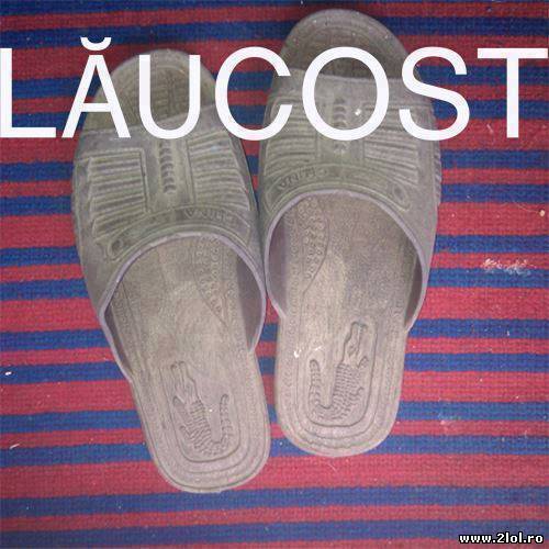 Șlarfii lăucost poze haioase