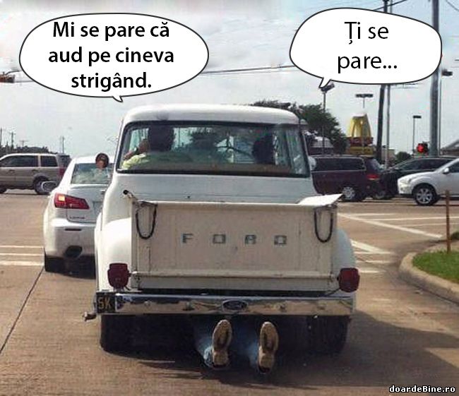 Mi se pare că aud pe cineva strigând poze haioase