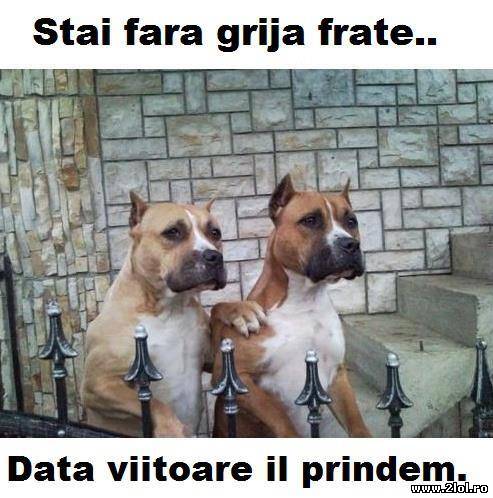 Deci asta discută când scapi poze haioase