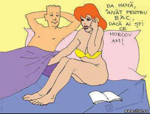 Ce face? Învață pentru bac? poze haioase