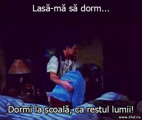 Gata cu dormitul poze haioase