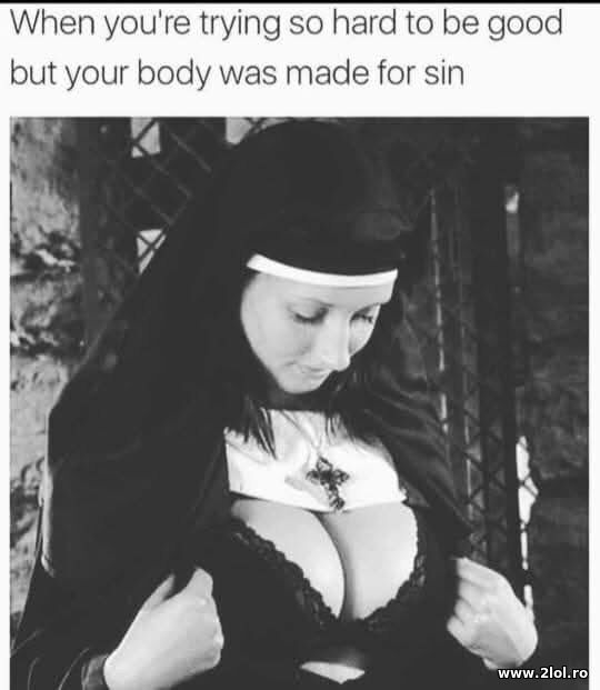 When you're trying poze haioase