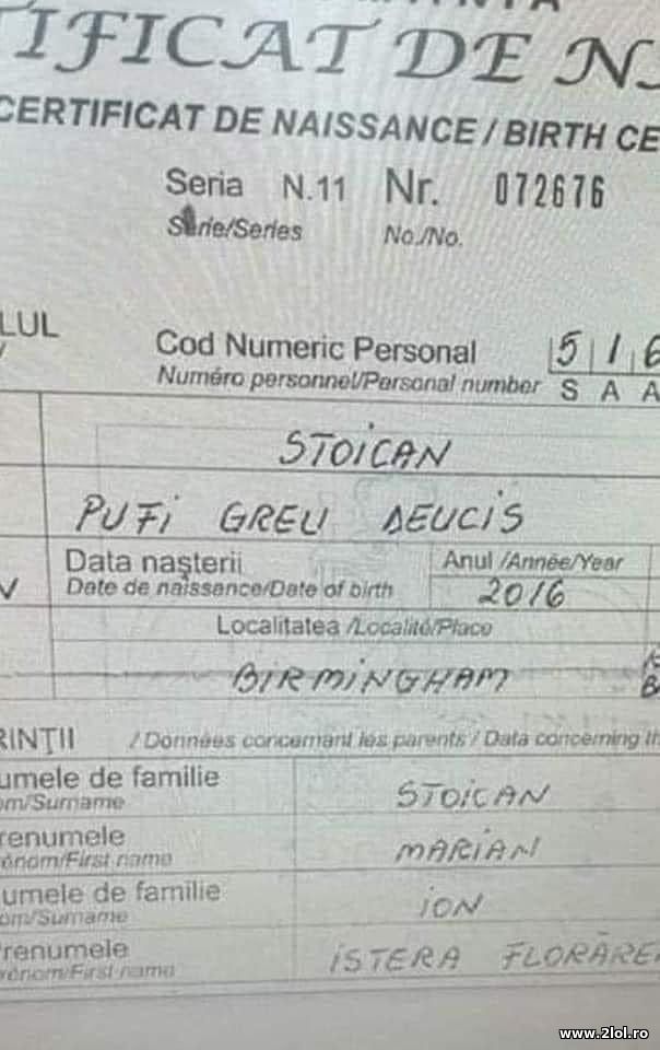 Stoican Pufi Greu Deucis poze haioase