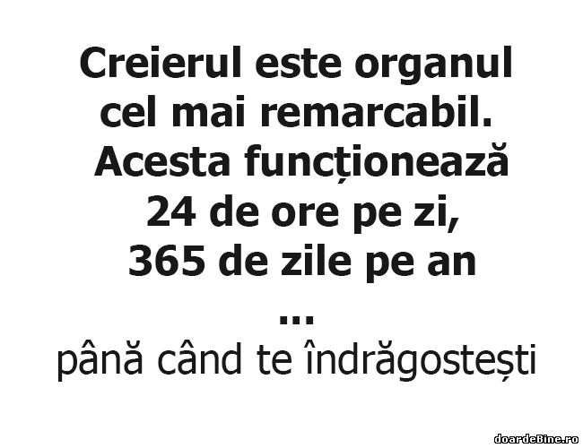 Până când funcționează creierul poze haioase