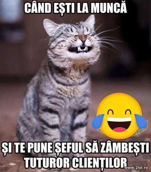 Cand esti la munca si te pune seful sa zambesti poze haioase