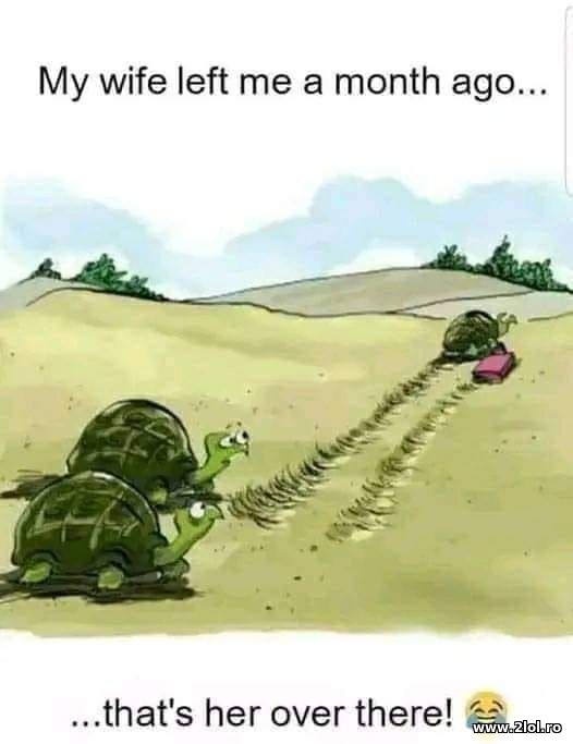 My wife left me one month ago poze haioase