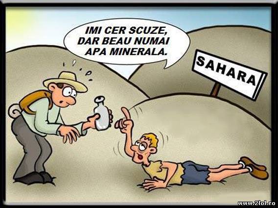 Culmea prostiei, în Sahara să ai pretenţii la apă poze haioase