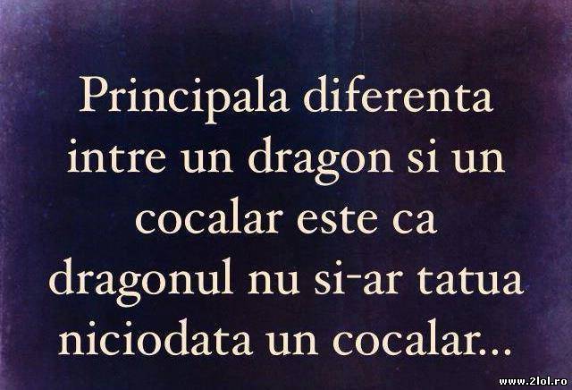 Diferenţa dintre un dragon şi un cocalar poze haioase