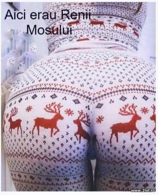 Aici erau Renii Mosului poze haioase