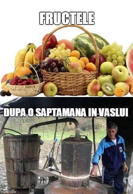 Fructele, după o săptămână în Vaslui poze haioase