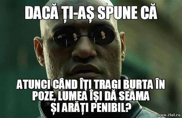 Pozele cu burta trasă poze haioase