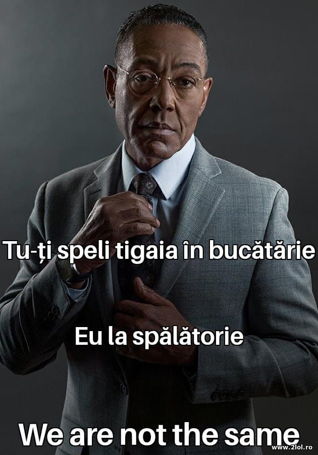 Tu speli tigaia in bucatarie poze haioase