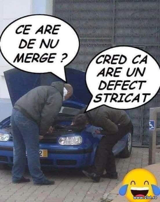 Ce are de nu merge? poze haioase