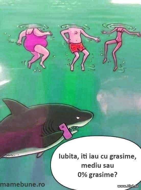 Iubita, iti iau cu grasime, mediu sau fara? poze haioase