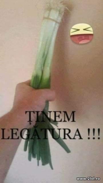 Tinem legatura poze haioase