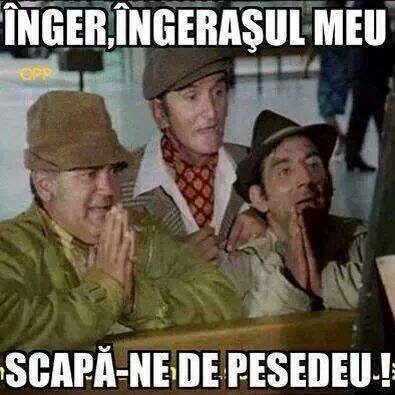 Una din dorințele românilor poze haioase