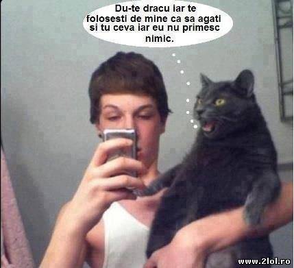 Obsedații de poze cu animale poze haioase