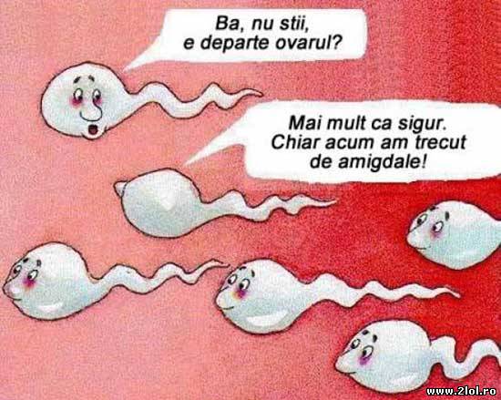 Bă, nu știi, e departe ovarul? poze haioase