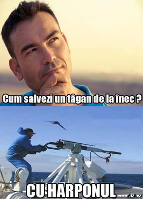 Cum salvezi un țigan de la înec poze haioase