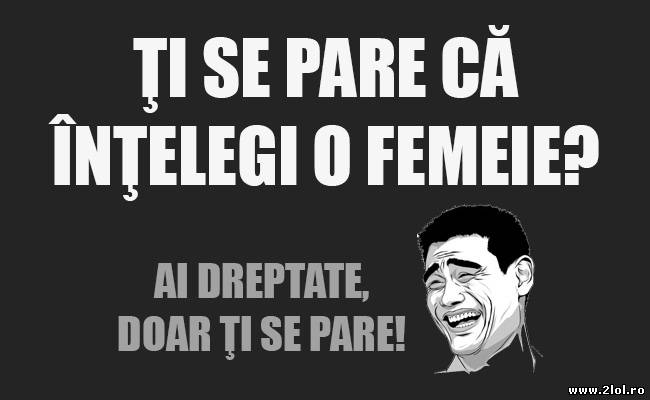 Ţi se pare că înţelegi o femeie poze haioase