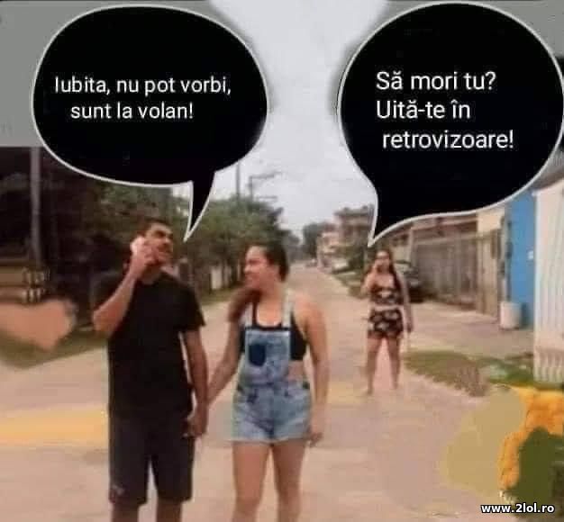 Iubita, nu pot vorbi, sunt la volan! poze haioase