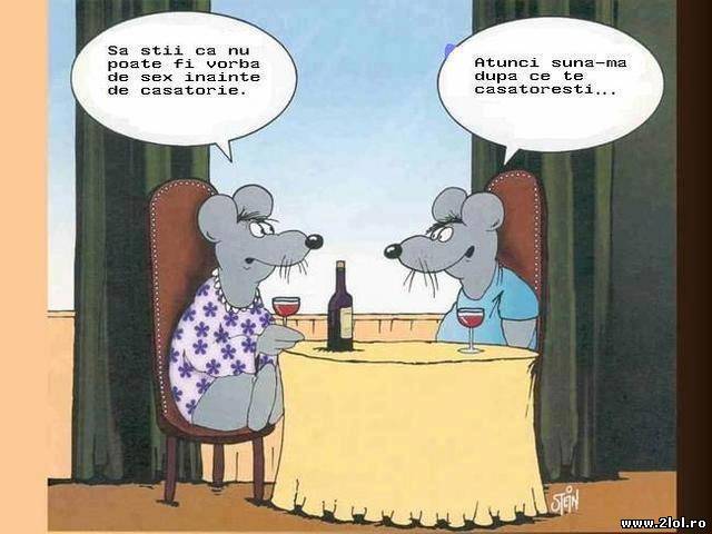 Nu poate fi vorba de treaba faină  înainte de poze haioase