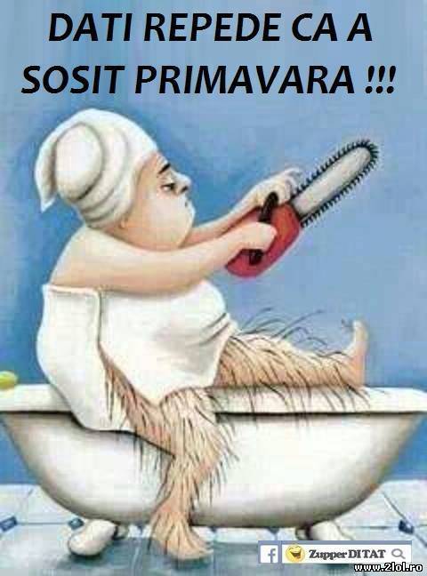 Pregătire pentru primăvară poze haioase